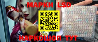 прущие крисы Моздок