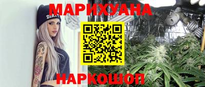 прущие крисы Моздок