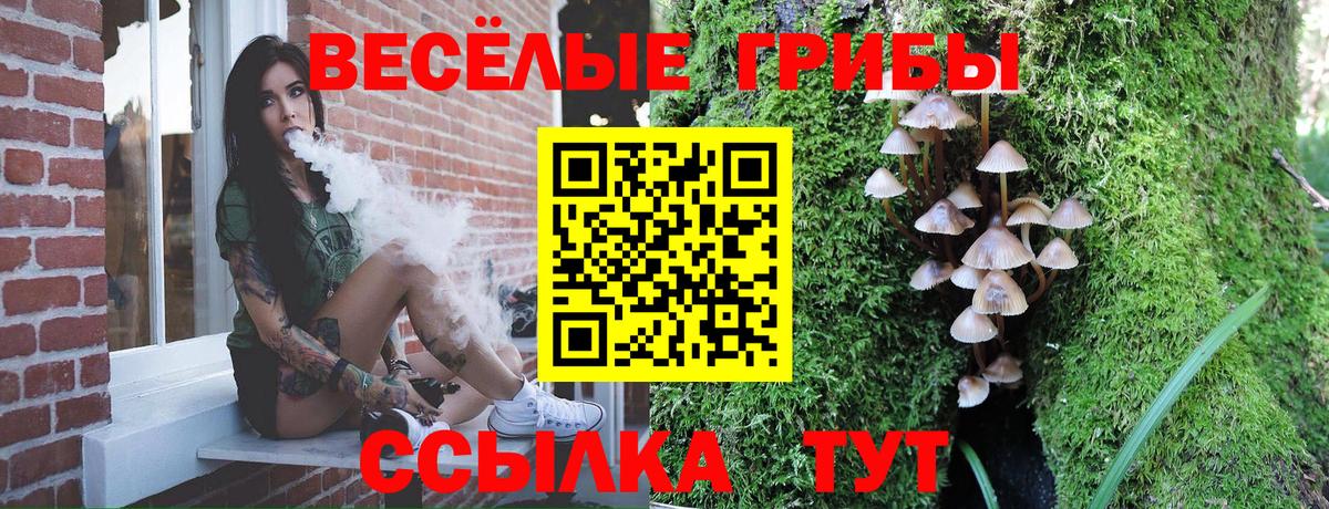 Галлюциногенные грибы Cubensis Десногорск