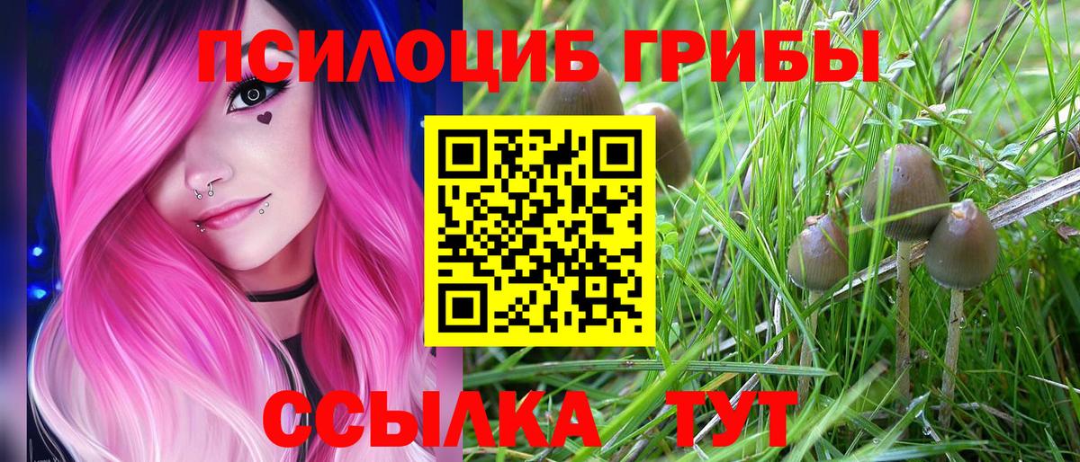 Десногорск  Псилоцибиновые грибы Magic Shrooms  Вход с VPN 